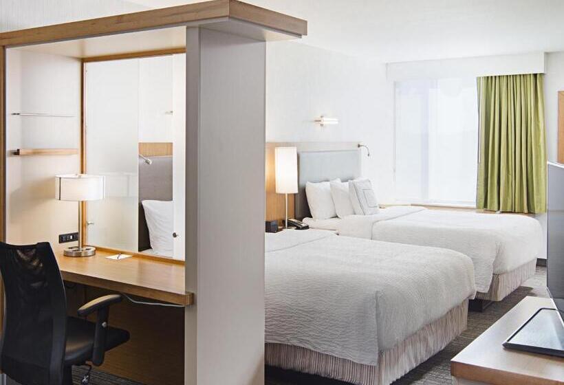 Студия Стандарт, Springhill Suites By Marriott Carle Place Garden City