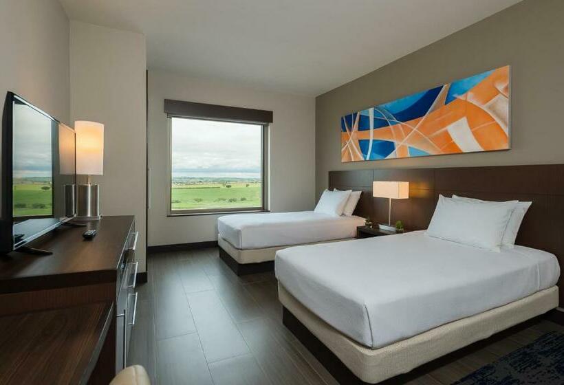 Номер Стандарт Адаптированный для Инвалидов, Hyatt Place Sao Jose Do Rio Preto