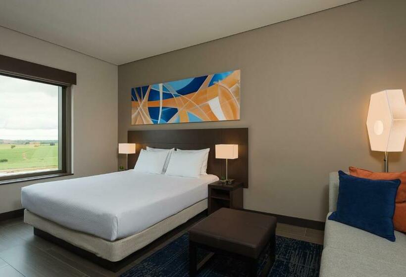 Стандартный Номер Кровать Кинг, Hyatt Place Sao Jose Do Rio Preto