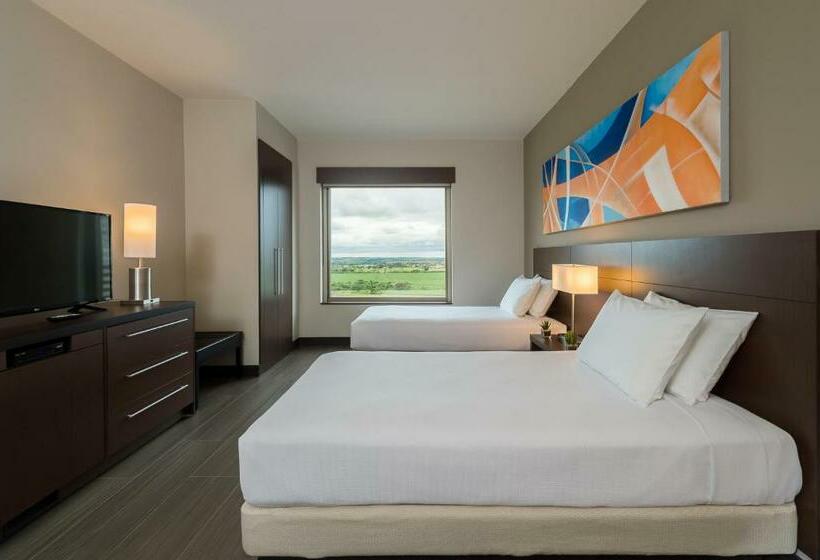Номер Стандарт Верхний Этаж, Hyatt Place Sao Jose Do Rio Preto