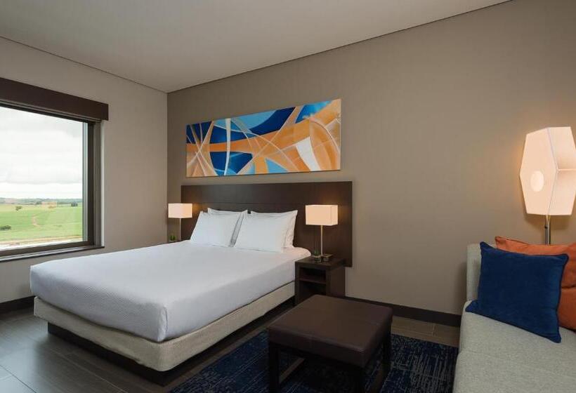 Номер Стандарт Кровать Кинг Адаптированный для Инвалидов, Hyatt Place Sao Jose Do Rio Preto