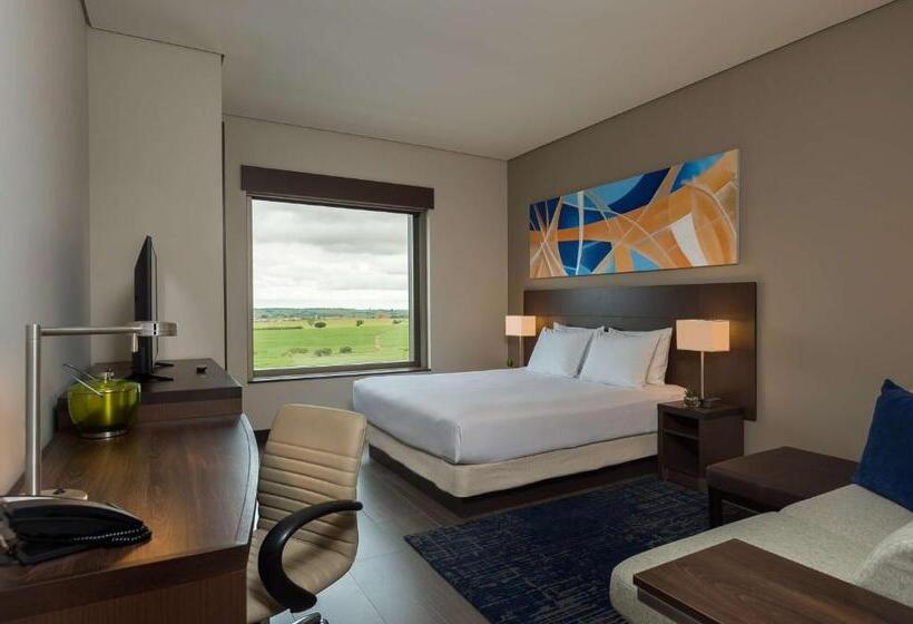 Стандартный Номер Кровать Кинг, Hyatt Place Sao Jose Do Rio Preto