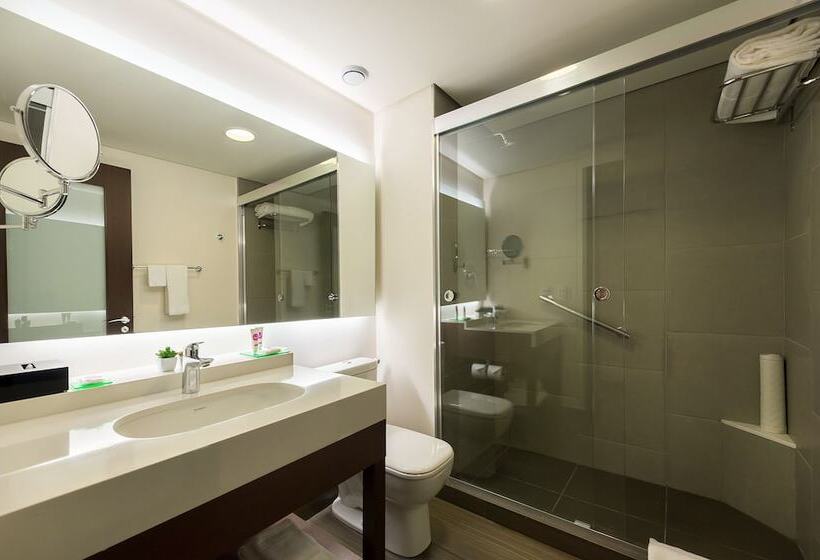 Номер Стандарт, Hyatt Place Sao Jose Do Rio Preto