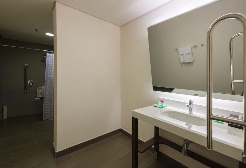 Номер Стандарт Адаптированный для Инвалидов, Hyatt Place Sao Jose Do Rio Preto