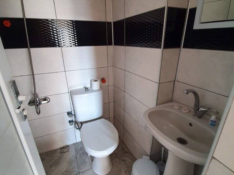 Номер Стандарт, Karya