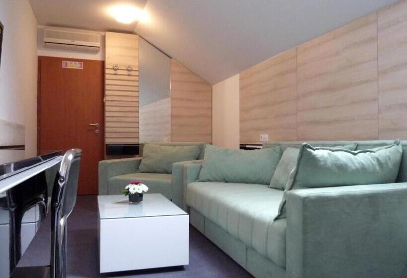 آپارتمان 1 خوابه, Garni Hotel Consul