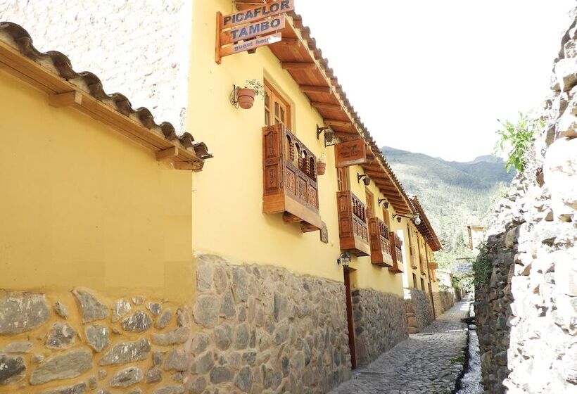 اتاق استاندارد, Picaflor Tambo Guest House