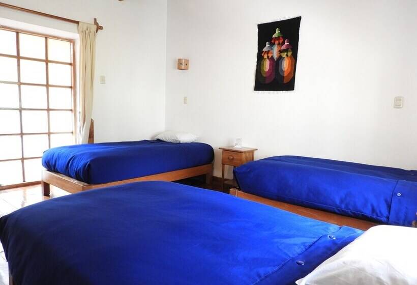 اتاق راحتی سه تخته, Picaflor Tambo Guest House