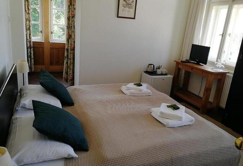 基本间, Penzion Vila Elektra
