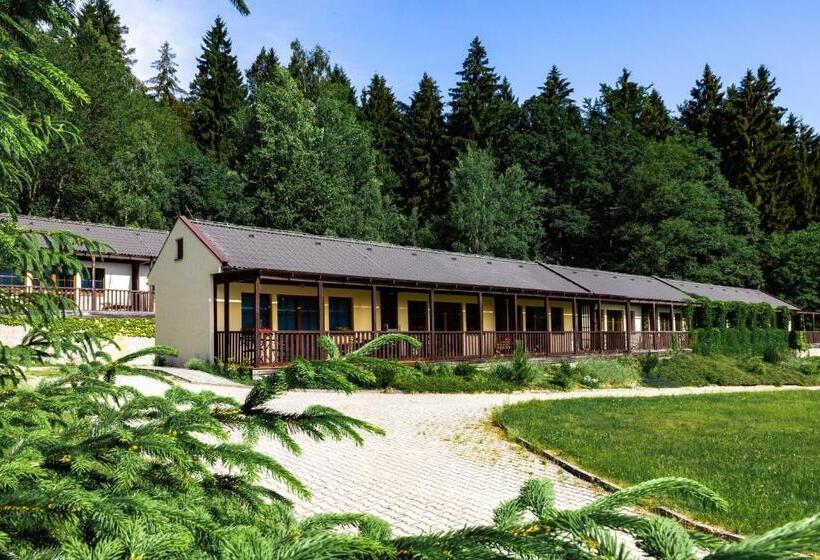 Апартаменты 1 Спальня, Resort Lesní Lázně