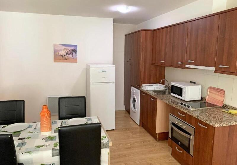 דירת חדר, Apartamentos Araco 3000