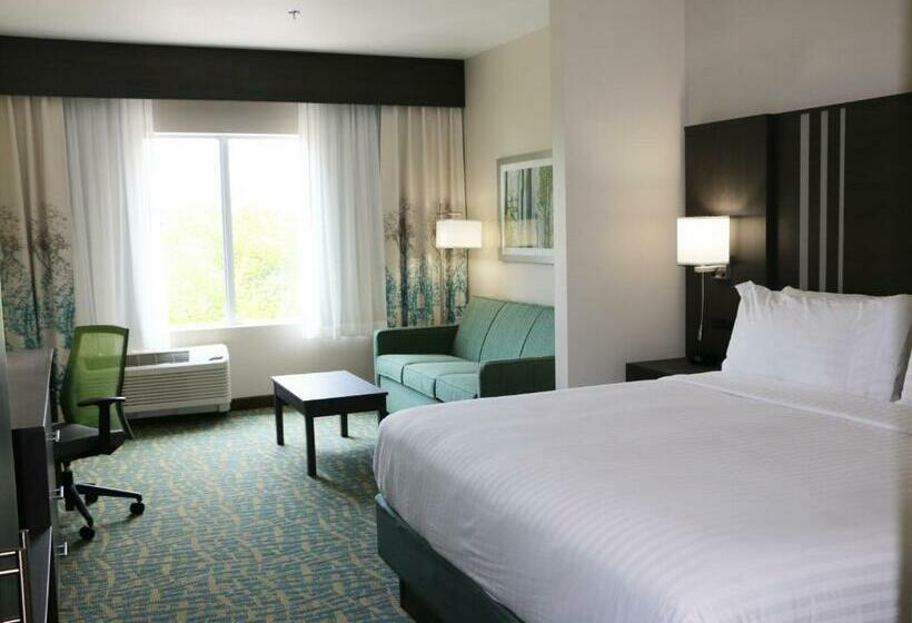 适合残疾人士使用的带超级大床的标准间, Holiday Inn Express & Suites   Hendersonville Se   Flat Rock, An Ihg