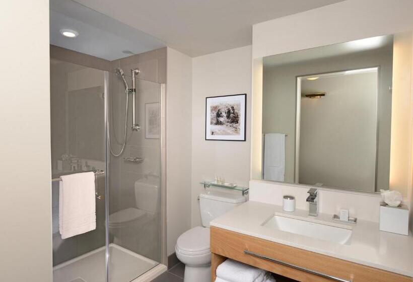 스탠다드 룸 킹사이즈 침대, Indigo Denver Downtown  Union Station, An Ihg