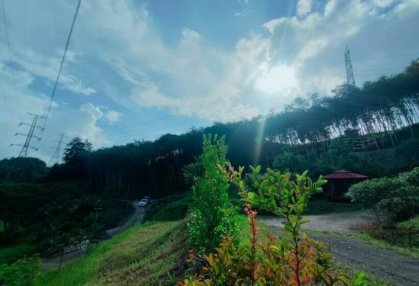 Номер Стандарт Вид на Горы, Doisky Phangnga