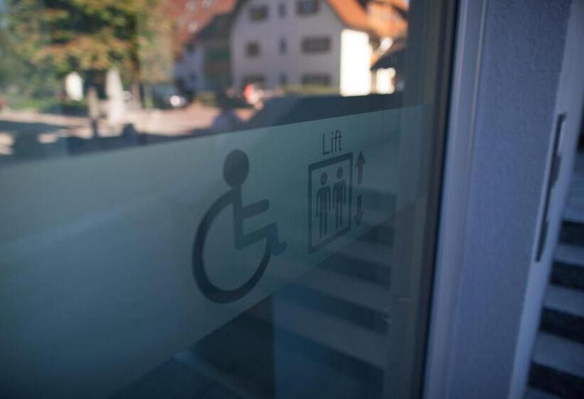 Номер Superior Адаптированный для Инвалидов, Rührberger Hof Hotel & Restaurant Grenzach Wyhlen Bei Basel