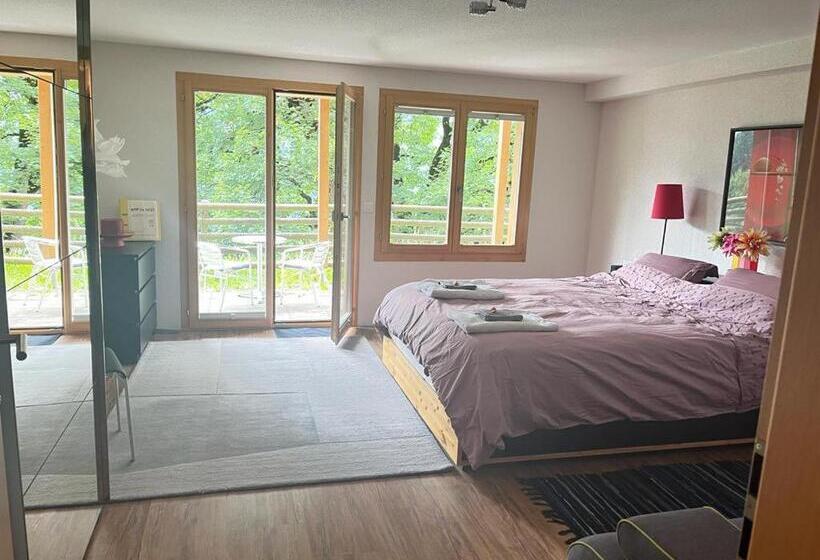 اتاق استاندارد با چشم‌انداز کوهستان, Hop In Nest Cozy Bed&breakfast In Wengen