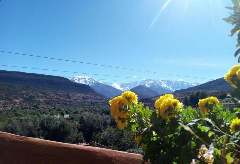 اتاق خانوادگی, Riad Vallée Verte Asni