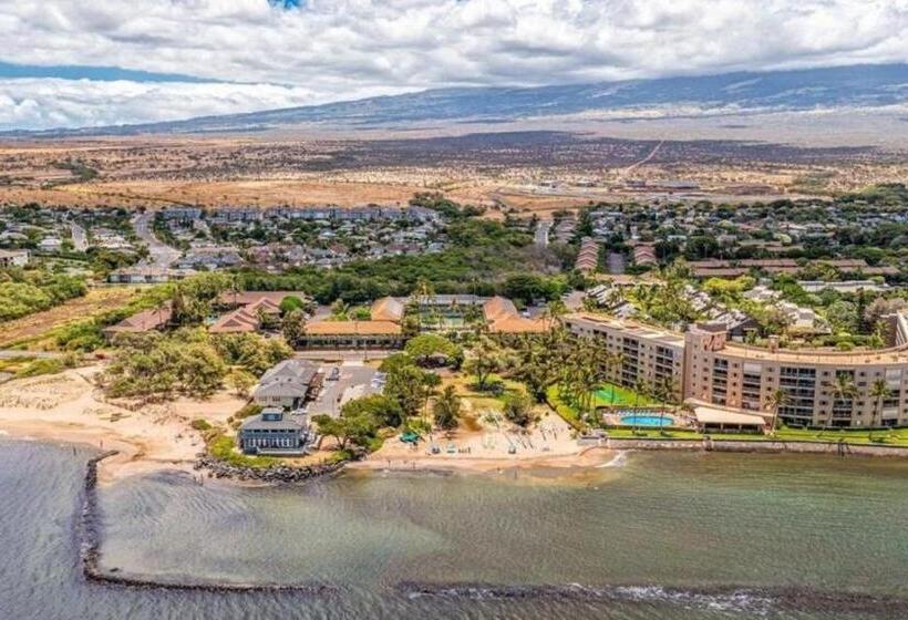 استودیوی استاندارد, Cozy Maui Studio Retreat Just Steps To The Sand!