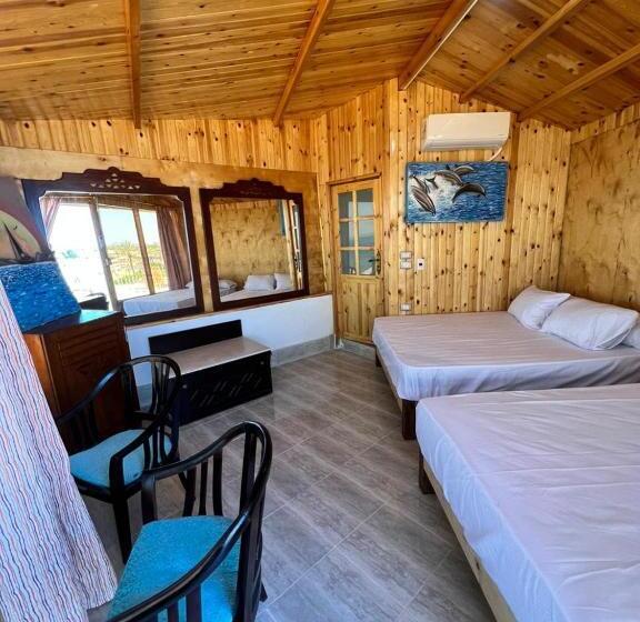 اتاق پریمیوم چهارنفره, Panorama Lodge Nuweiba