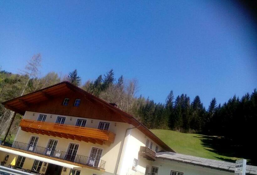 Номер Стандарт, 2 Sterne Gasthof Pension Kienklause Kein Wifi Wlan Keinen Handyempfang