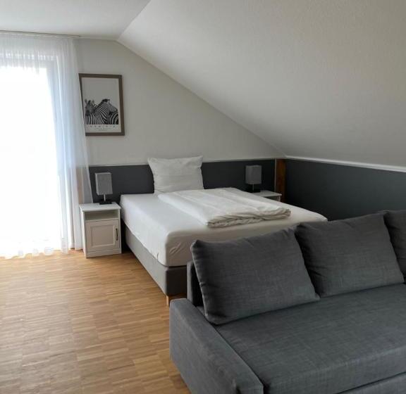 Студия Стандарт, New Age Boardinghaus Bad Wimpfen