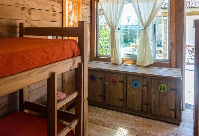 공동 객실, Las Palmas Beach Hostel