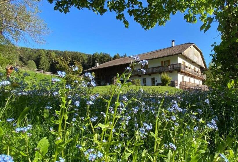 Апартаменты 1 Спальня с Балконом, Schöpfer Hof   Urlaub Beim Biobauer