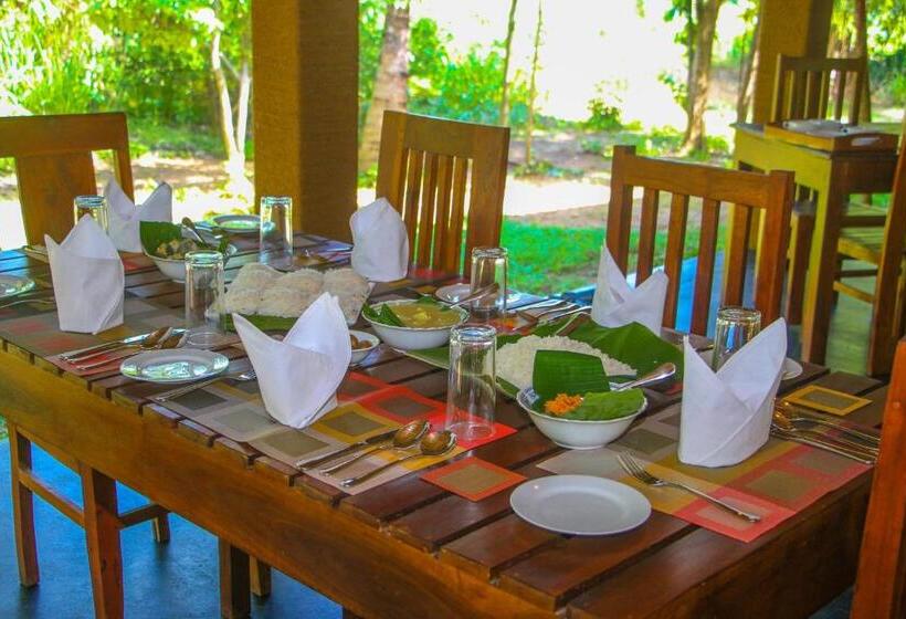 Номер Economy, Ceylon Amigos Eco Resort