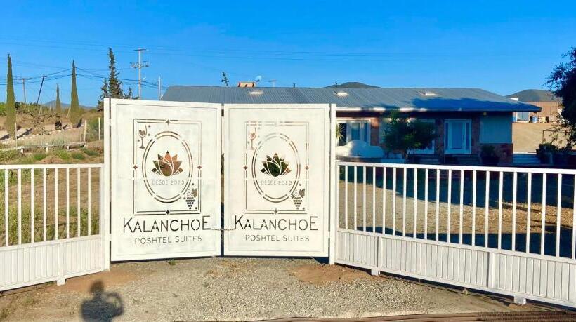 标准工作室, Kalanchoe Poshtel Suites