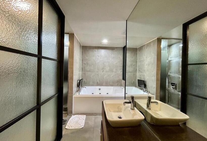 اتاق استاندارد, Arieti A