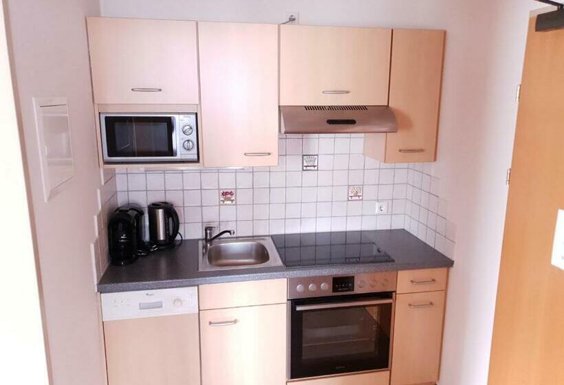 חדר סטודיו סטנדרד, Aparthotel Pichler
