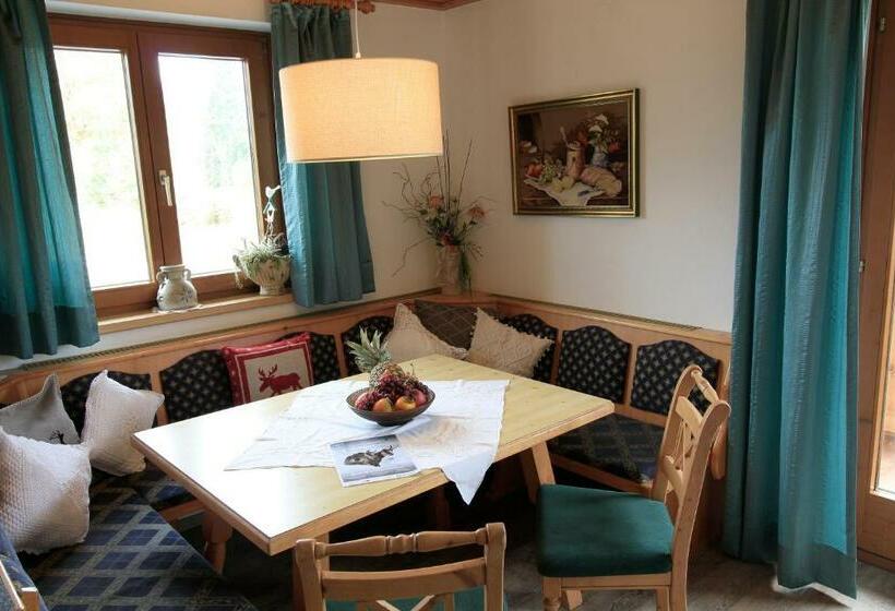 آپارتمان 2 خوابه با بالکن, Pension Tannenhof