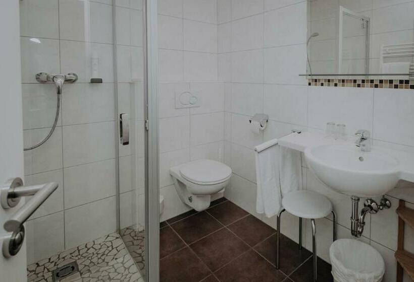 اتاق استاندارد با چشم‌انداز کوهستان, Sporthotel Kitz