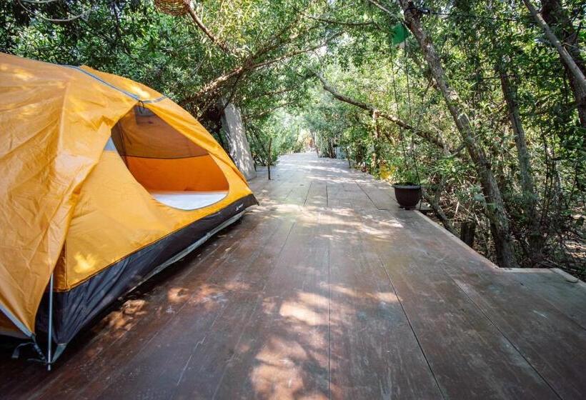 Standard Tent, Posada Corazon Mazunte