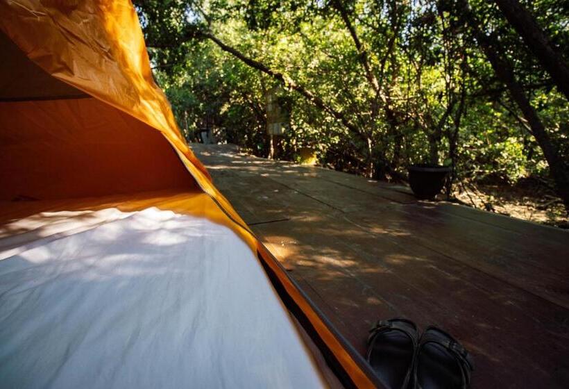 Standard Tent, Posada Corazon Mazunte