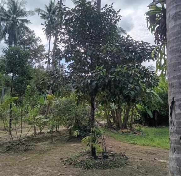Номер Deluxe, Chom Suan Farmstay