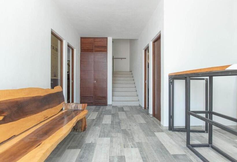 Apartament 1 Sypialnia, Condohotel Piedra Del Caribe