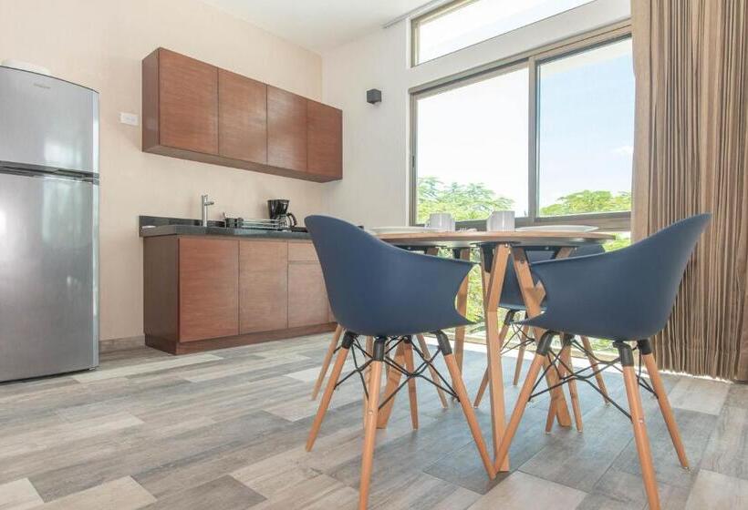 Apartament 1 Sypialnia, Condohotel Piedra Del Caribe
