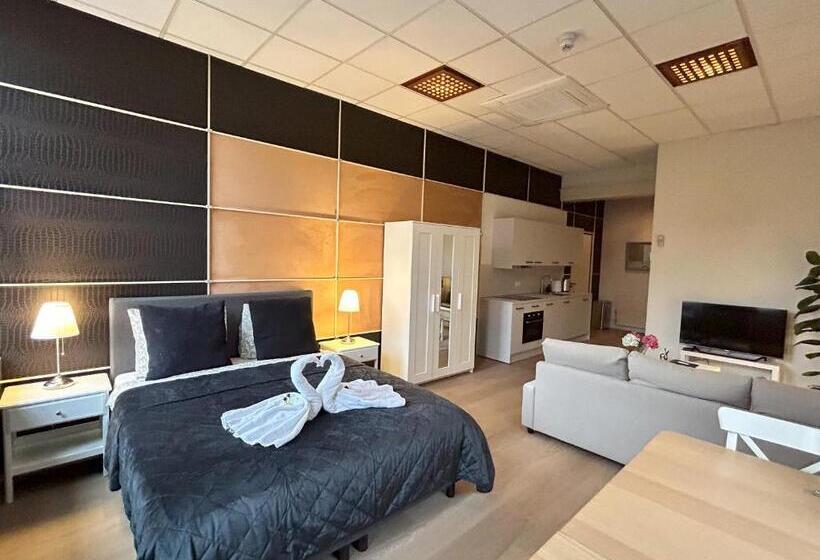 Студия Стандарт, Cozy Studio S2, City Centre Dordrecht