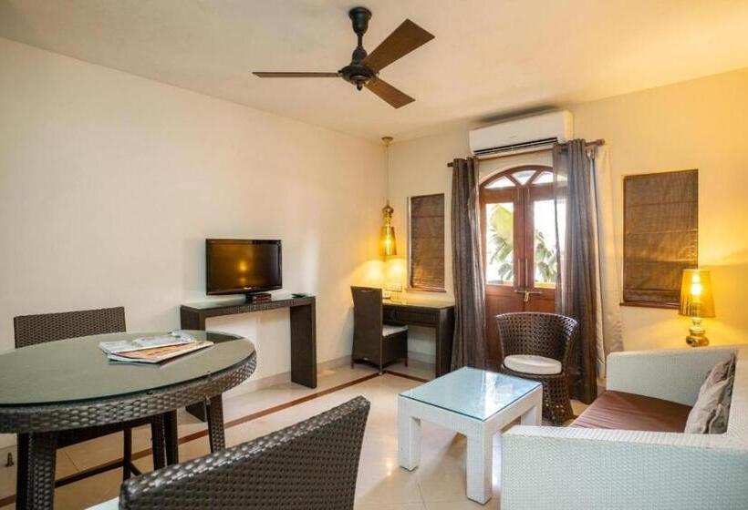 Estudio Estàndard, Coco Goa By Ronne S