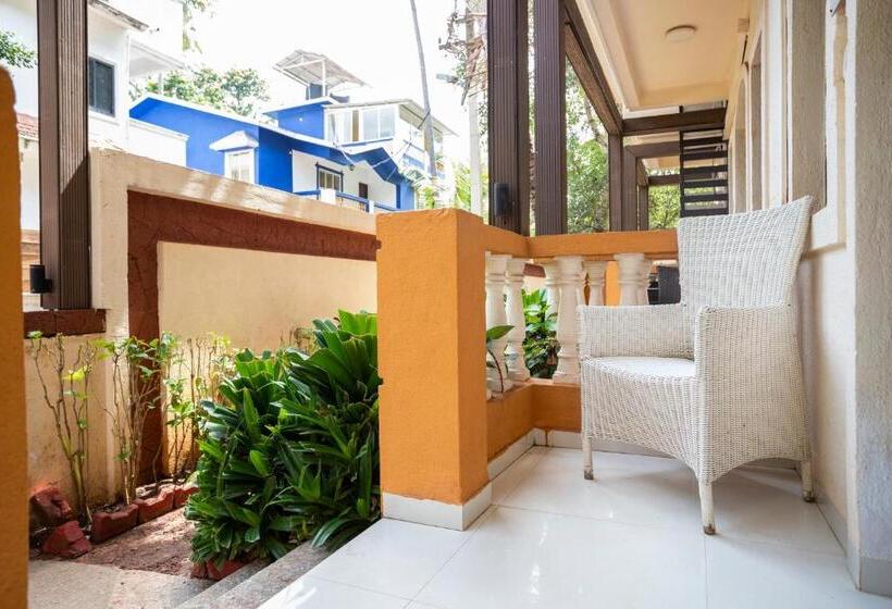 Estudio Estàndard, Coco Goa By Ronne S