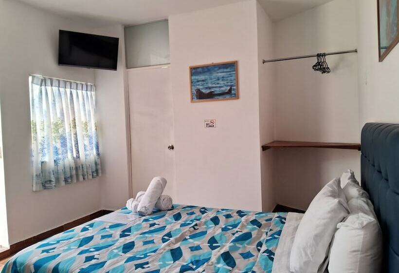 Номер Стандарт, Las Fragatas Casa