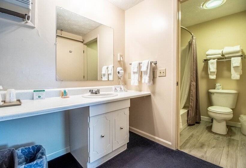 Номер Стандарт 2 Двуспальные Кровати, Sea View Motel
