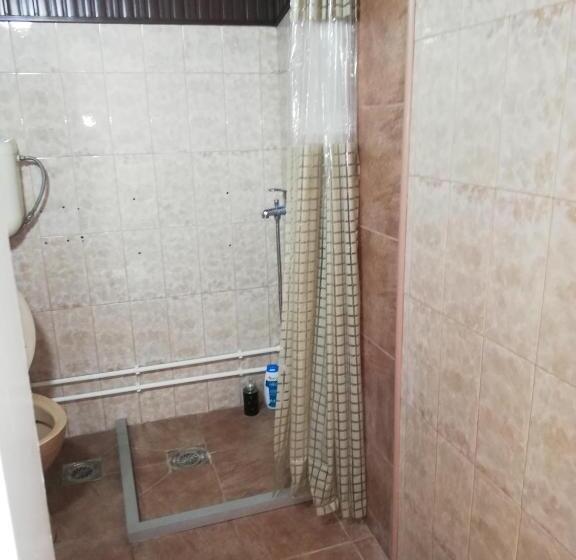 اتاق استاندارد چهار تخته, Blue Carpet Rooms
