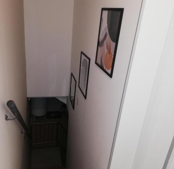 اتاق استاندارد چهار تخته, Blue Carpet Rooms