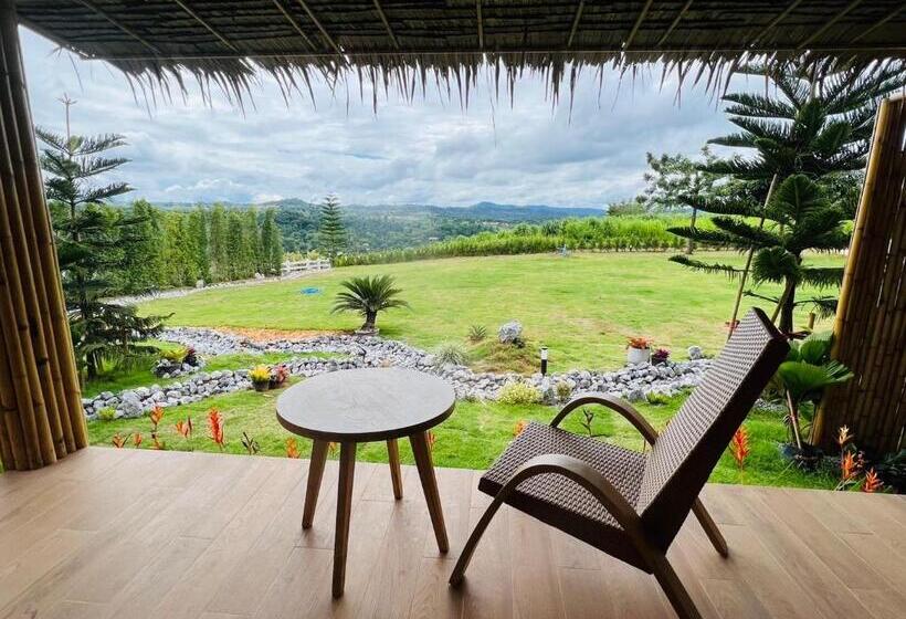 اتاق استاندارد, Cirrus Valley Hill Resort