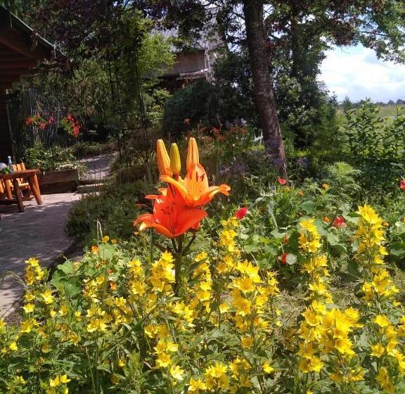 Номер Стандарт, Chalet Le Paradou Adults Only