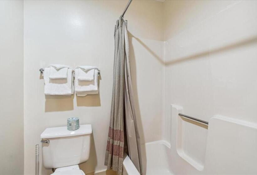 Номер Стандарт, Cedarbrook Hotel Room W/2 Doubles 117
