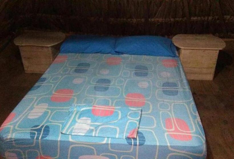 اتاق اکونومی, Hostel Cattleya