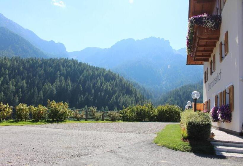 Апартаменты 1 Спальня, Almresidenz Unterrain Zum Hartl  1 Km By Car Distance Ski Slopes Kronplatz